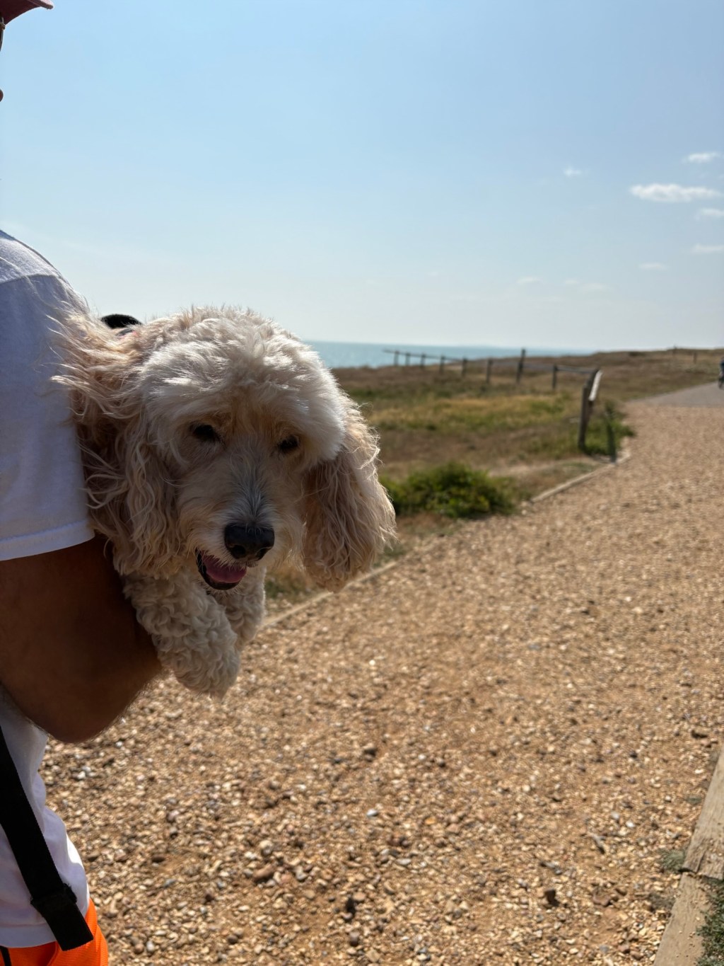 Day 3 – Milford on Sea and drinks on the beach (and a broken&nbsp;dog!)