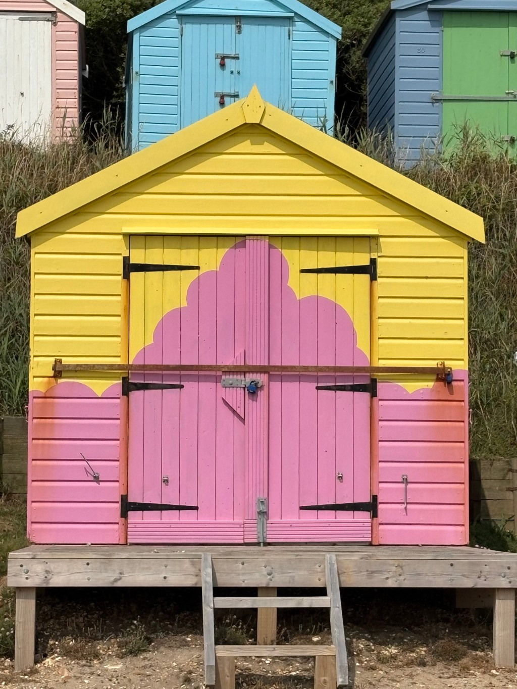 Days 5 and 6 – more beach life, bike/runs and a dog&nbsp;bride