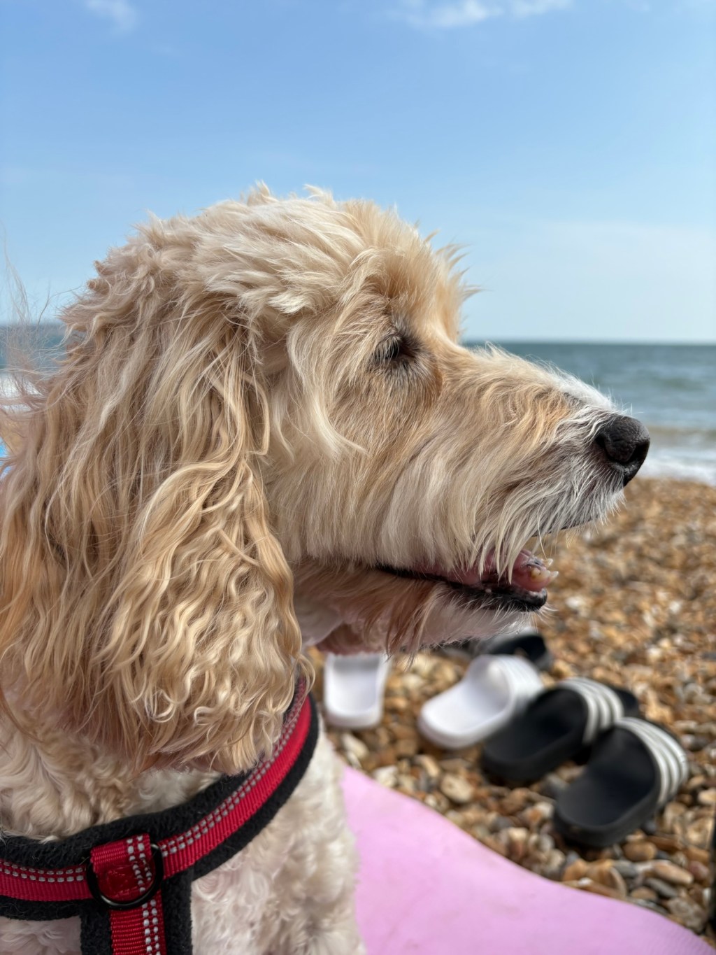 Day 9 – beers by the beach, bodyboarding and biking (all the&nbsp;B’s!)