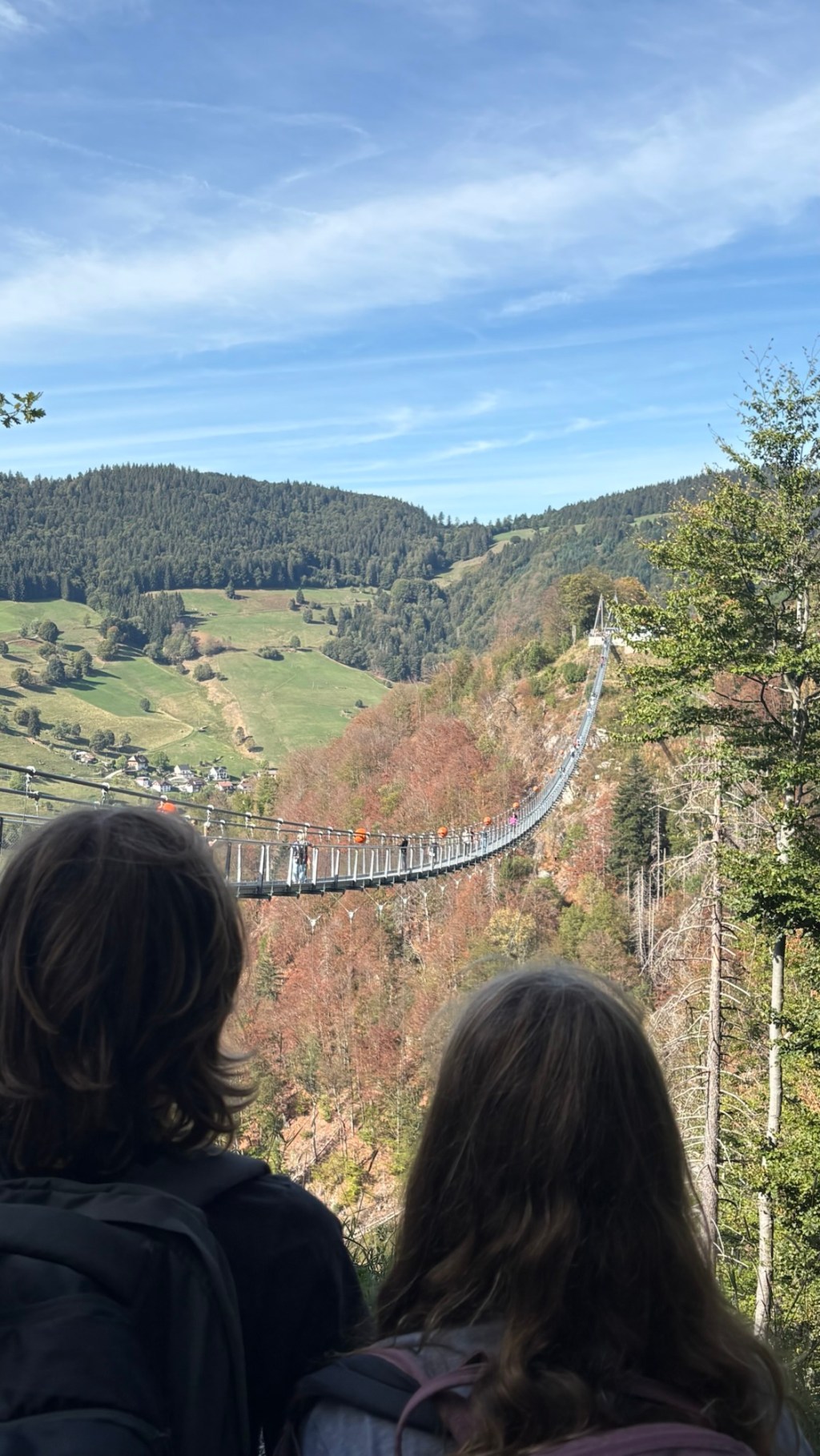 Motorhoming in the Black Forest: Bernau Im Schwarswald, Hasenhorn Rodelbahn Todtnau, Todtnau Watterfall and Suspension&nbsp;Bridge