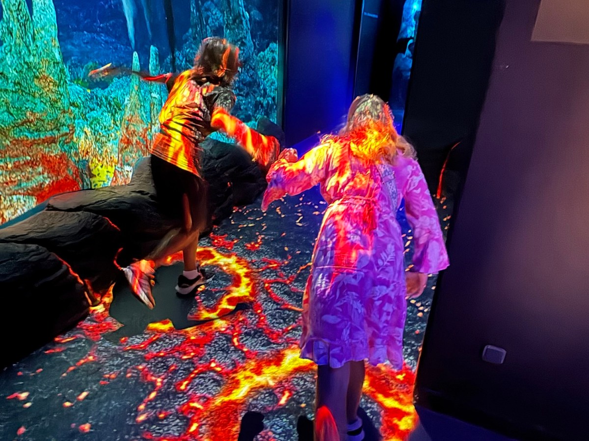 Visiting the Canet en Roussillon aquarium and then facing flash&nbsp;floods!